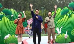 三亚民宿爆料视频最新消息,最新视频揭露惊人内幕，揭秘行业乱象！