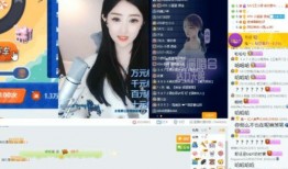 盈公主爆料视频,揭秘幕后真相与精彩瞬间