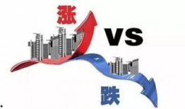 海之恋最新爆料,幕后故事与精彩瞬间大曝光